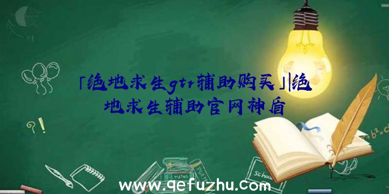 「绝地求生gtr辅助购买」|绝地求生辅助官网神盾